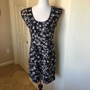 Loft Sheath Dress 6